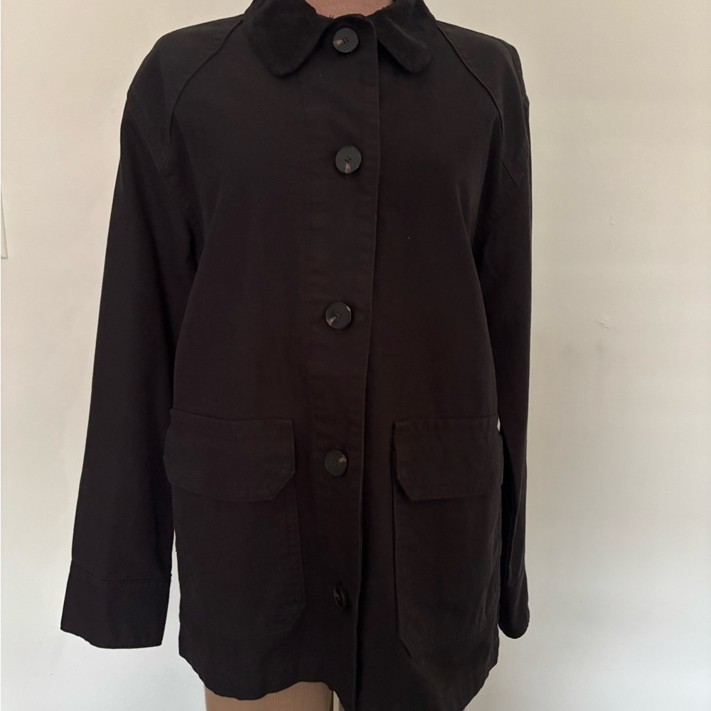 Everlane Black Canvas Coat